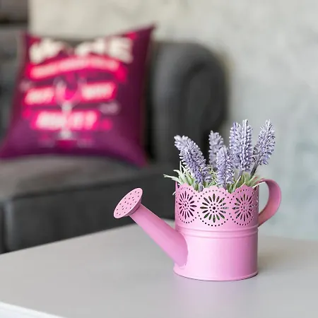 Willa Lavanda Nova Vas (Porec)